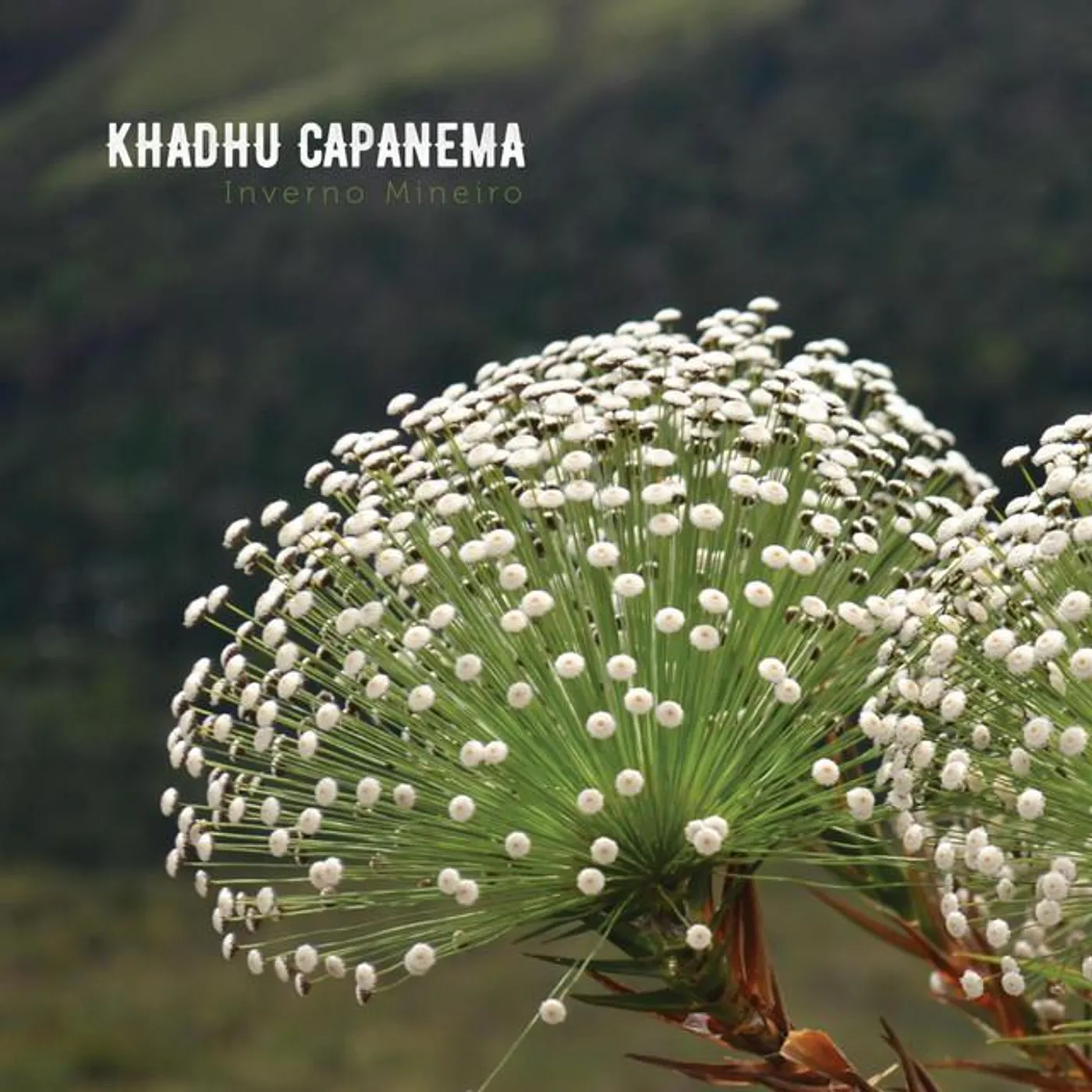 Khadhu Capanema Brand Page