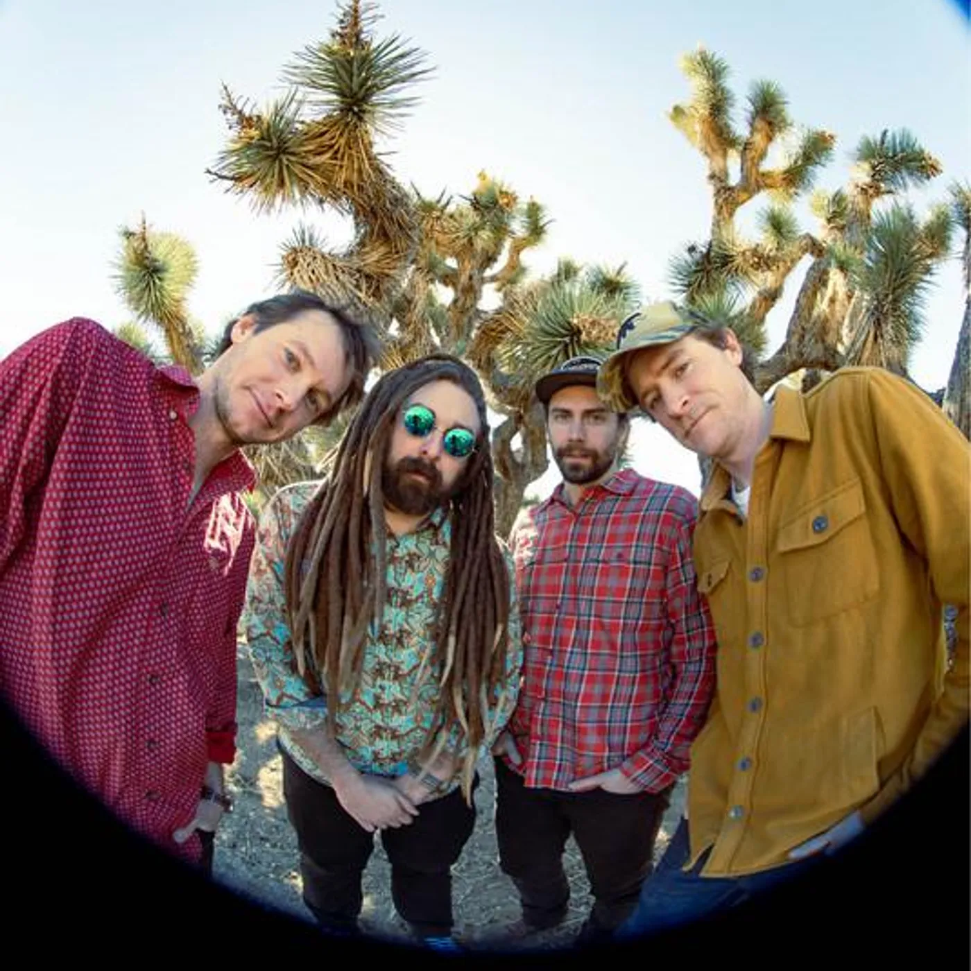 Kitchen Dwellers Brand Page