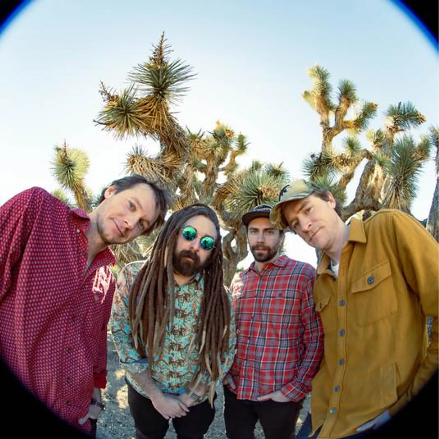 Kitchen Dwellers Brand Page