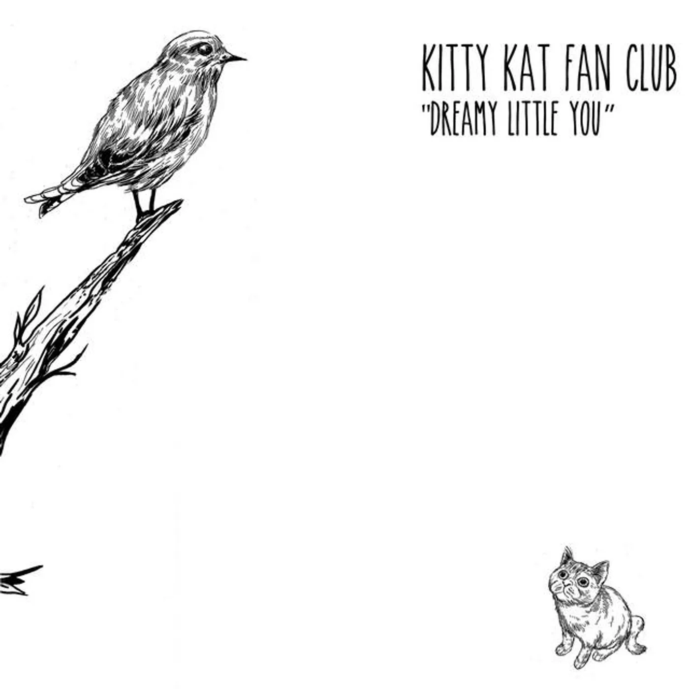 Kitty Kat Fan Club