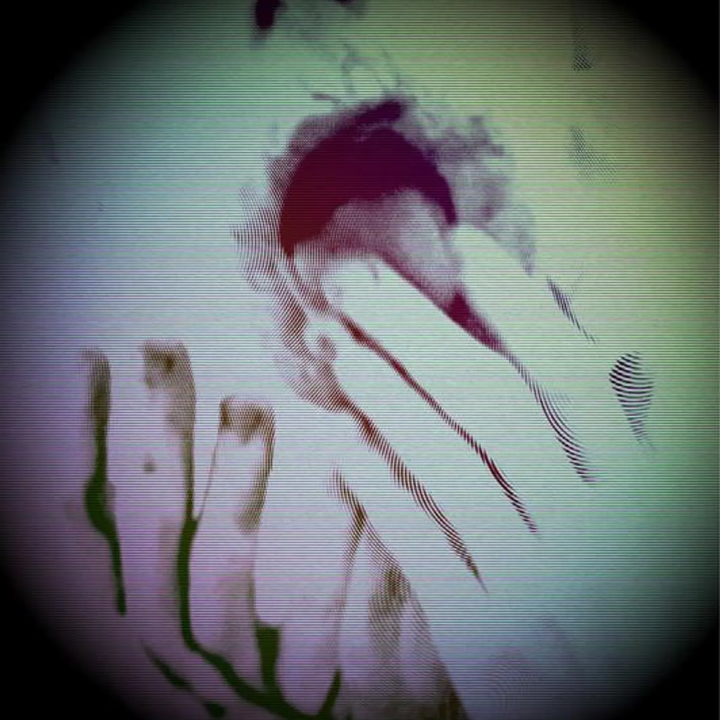 Kid Trash Brand Page