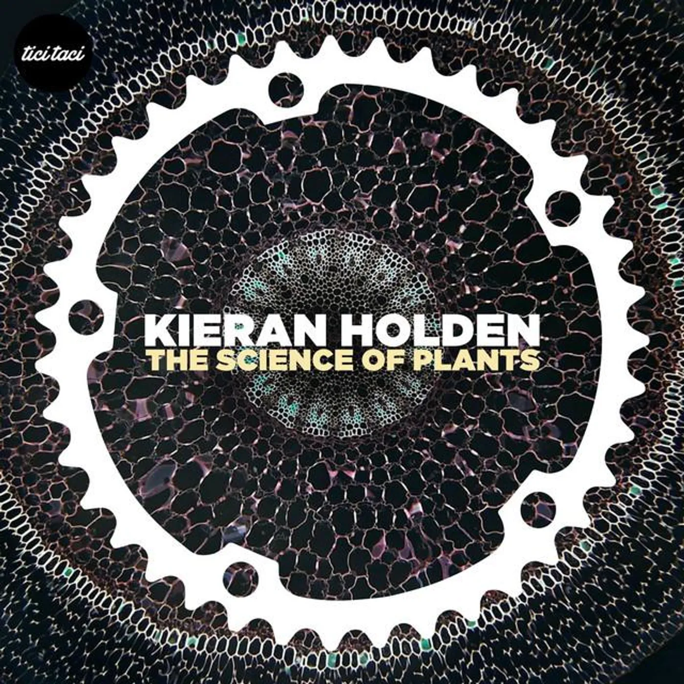 Kieran Holden