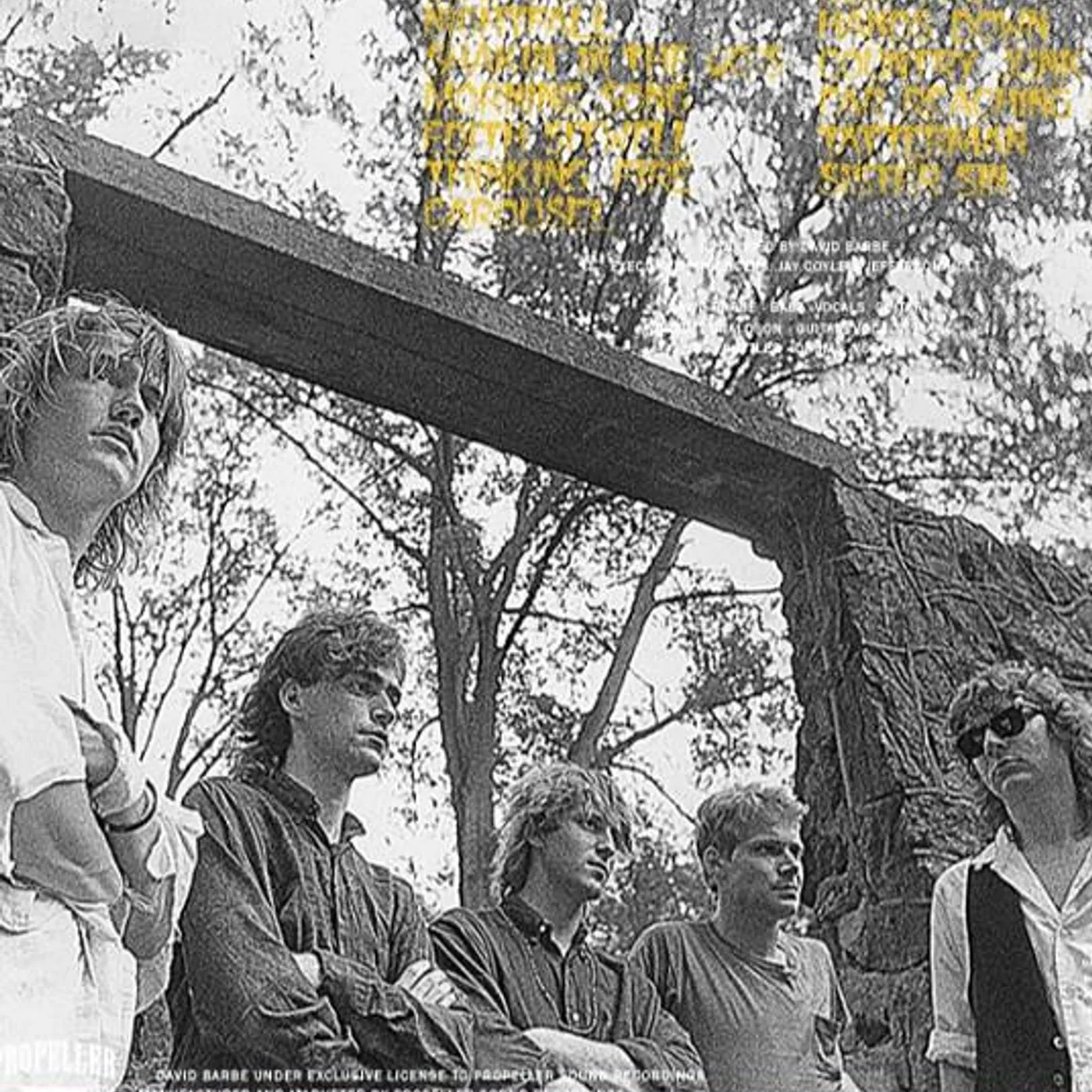 Kilkenny Cats Brand Page