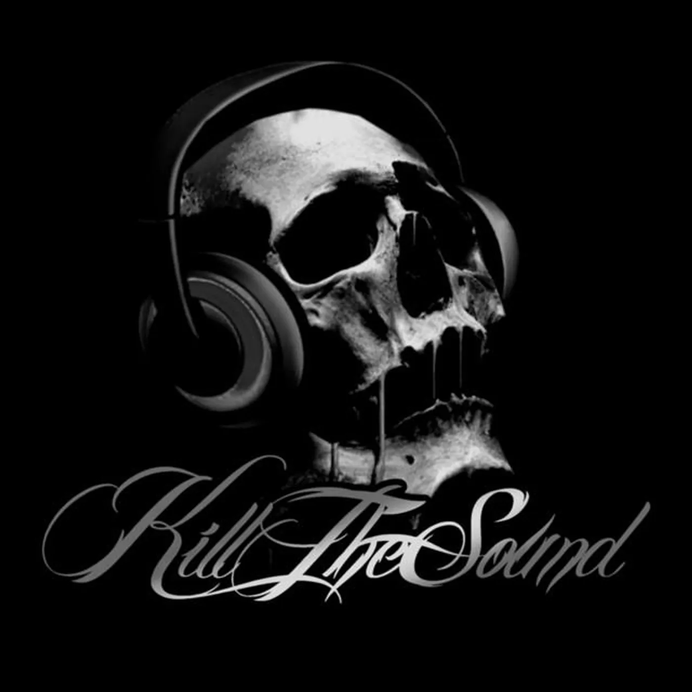 Kill the Sound Brand Page