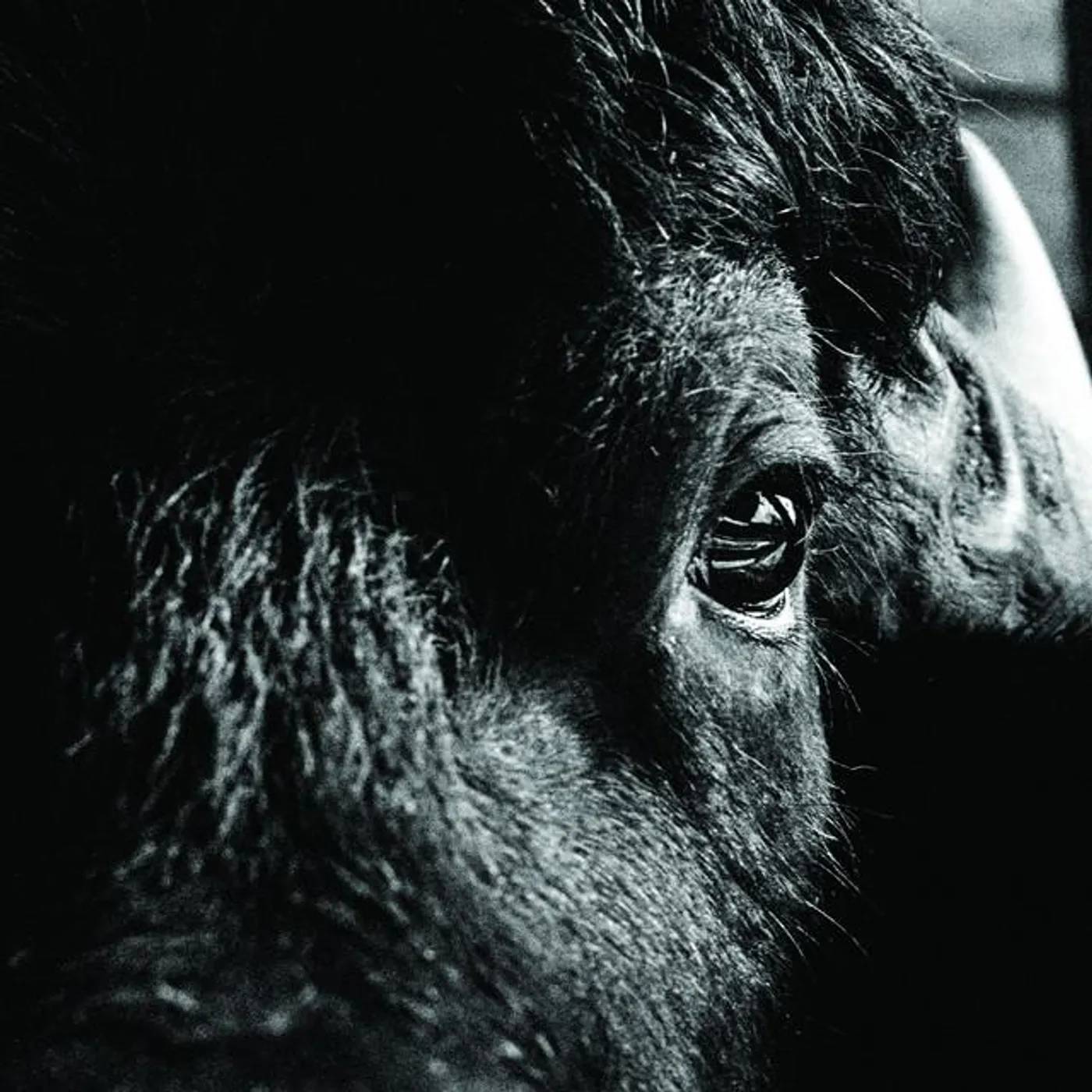 Killbody Tuning Brand Page