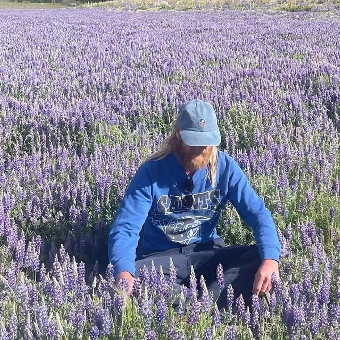 Killer Whale Brand Page