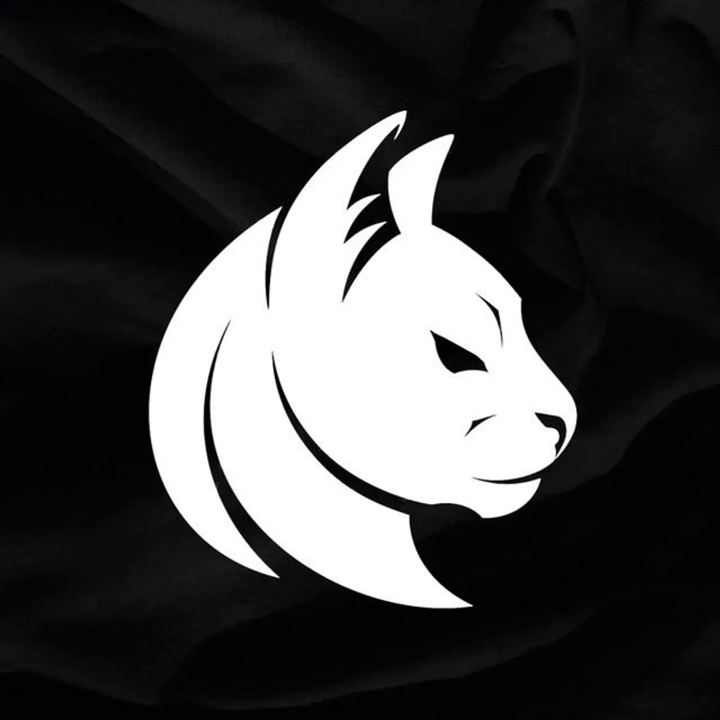 Killercats Brand Page