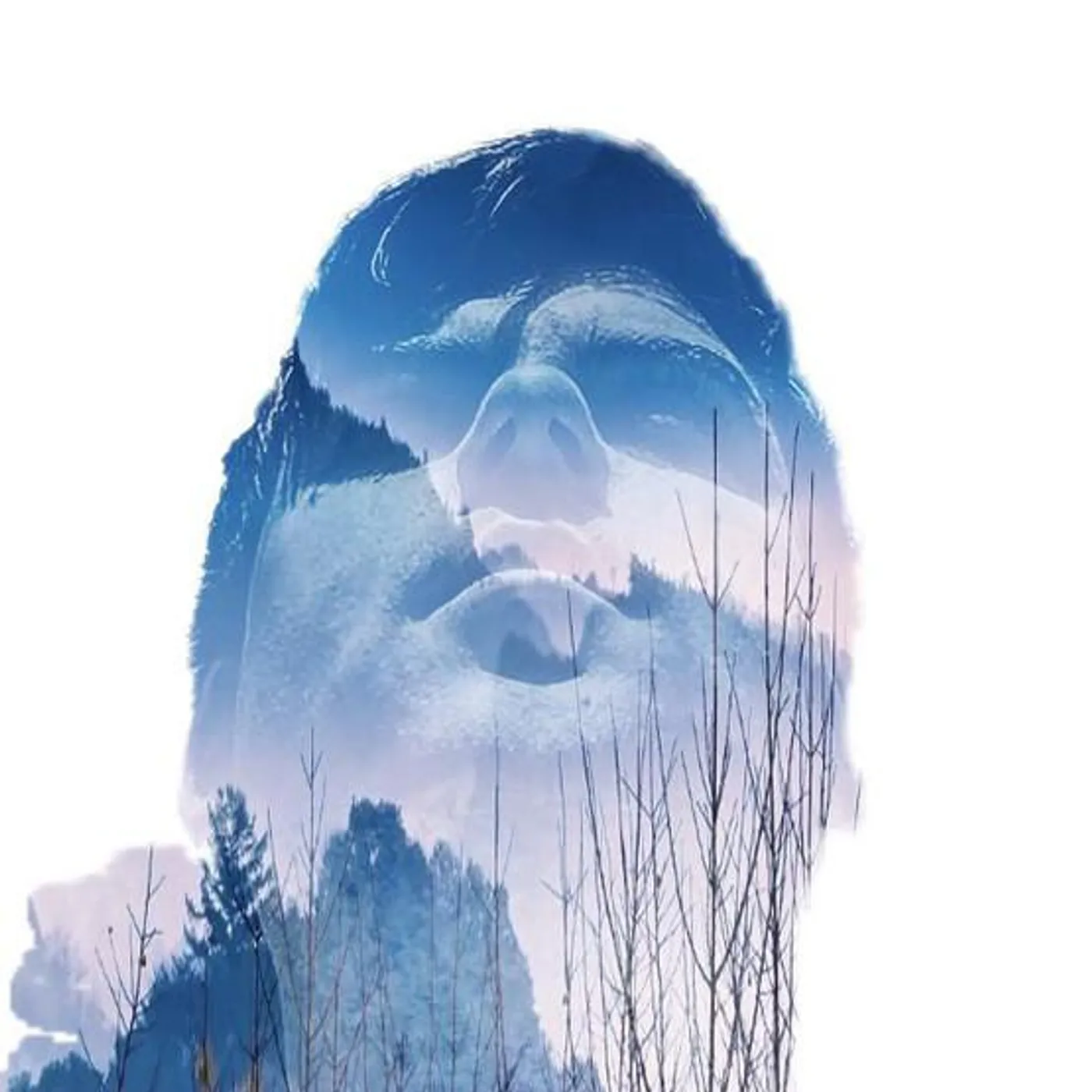 Kim André Arnesen Brand Page