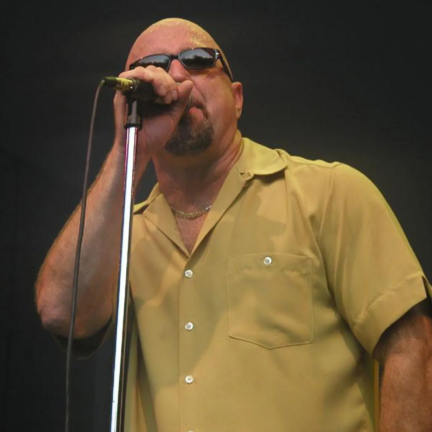 Kim Wilson Brand Page