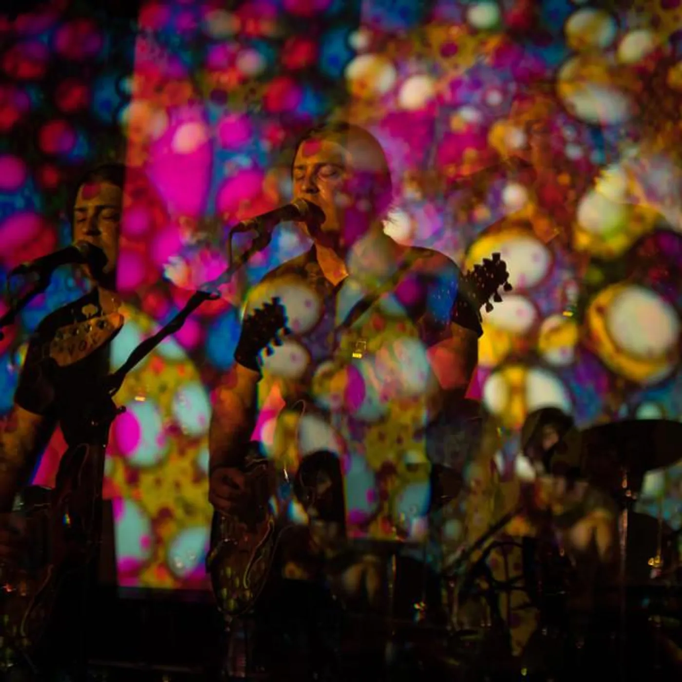 Kingdom of the Holy Sun Brand Page