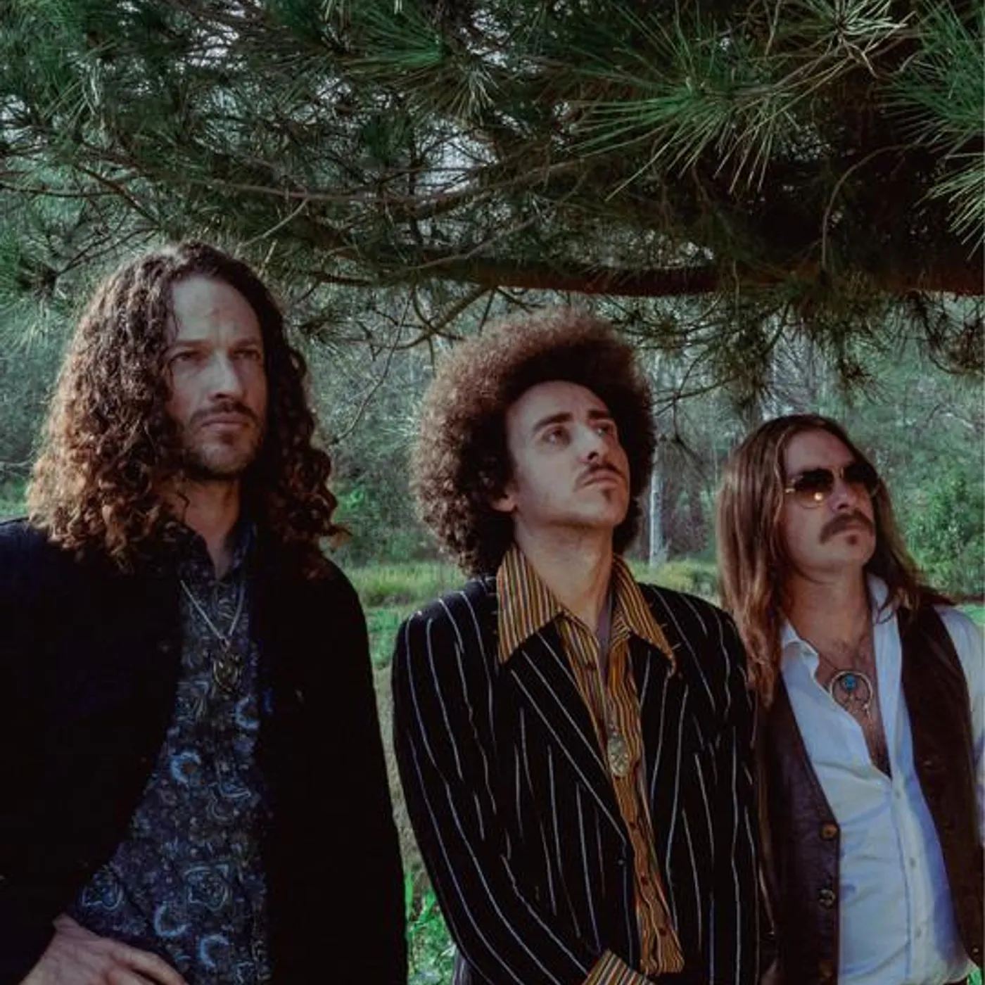 King Tree & the Earthmothers Brand Page