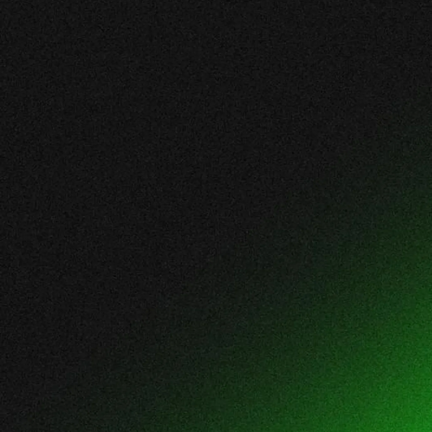 KING PALM Brand Page