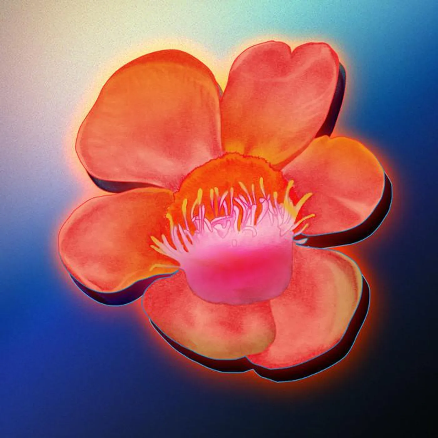 Kira Divine Brand Page