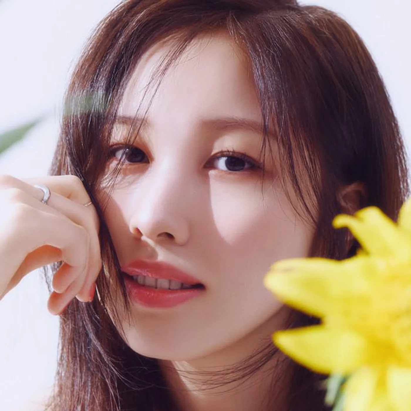 Kwon Jin Ah Brand Page