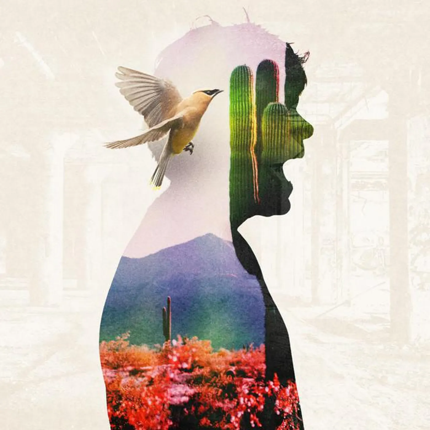 Kyle Hollingsworth Brand Page