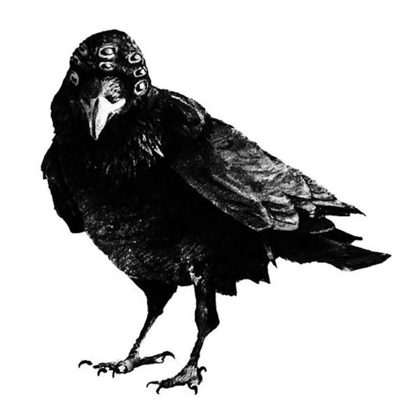 Håll Det Äkta Brand Page