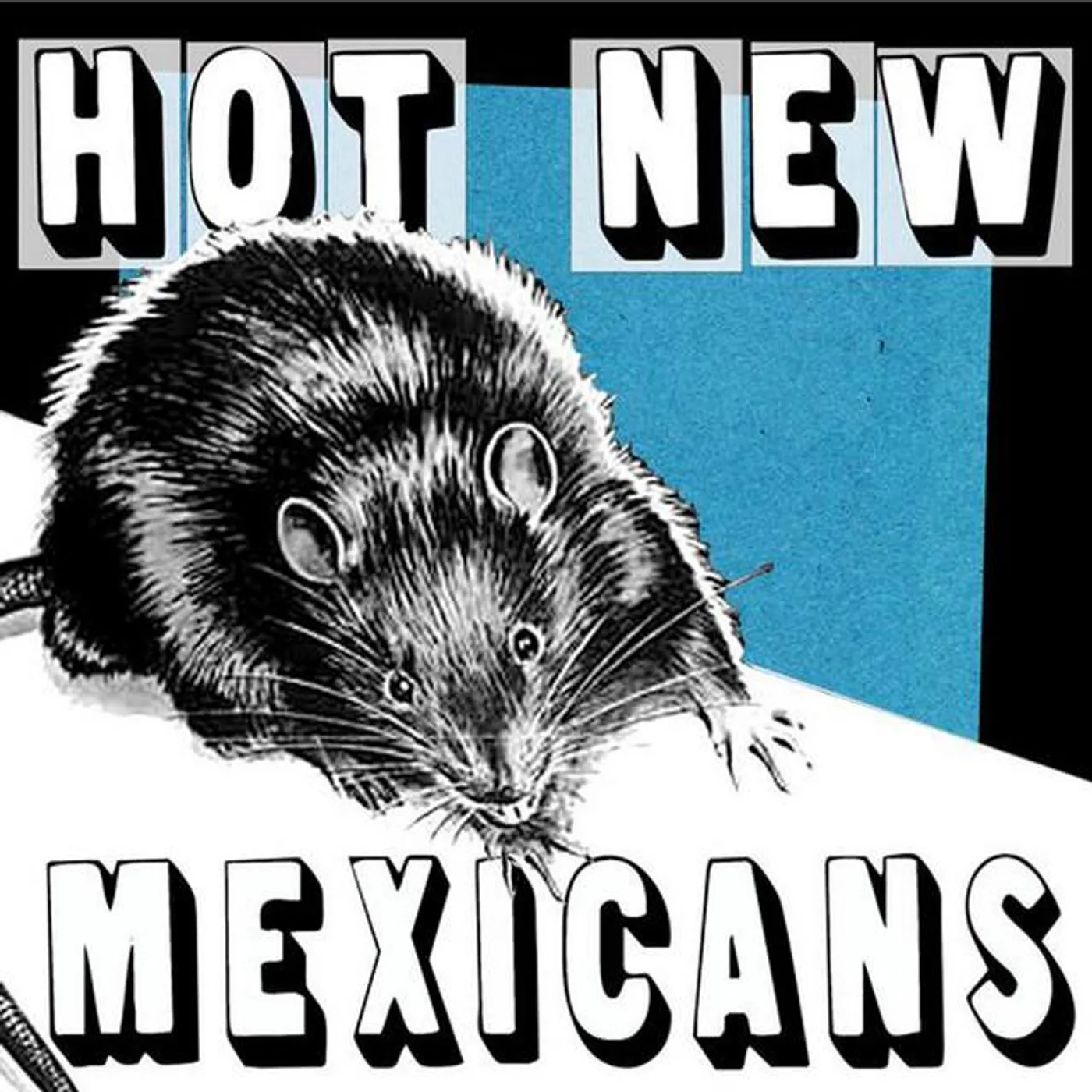 Hot New Mexicans Brand Page