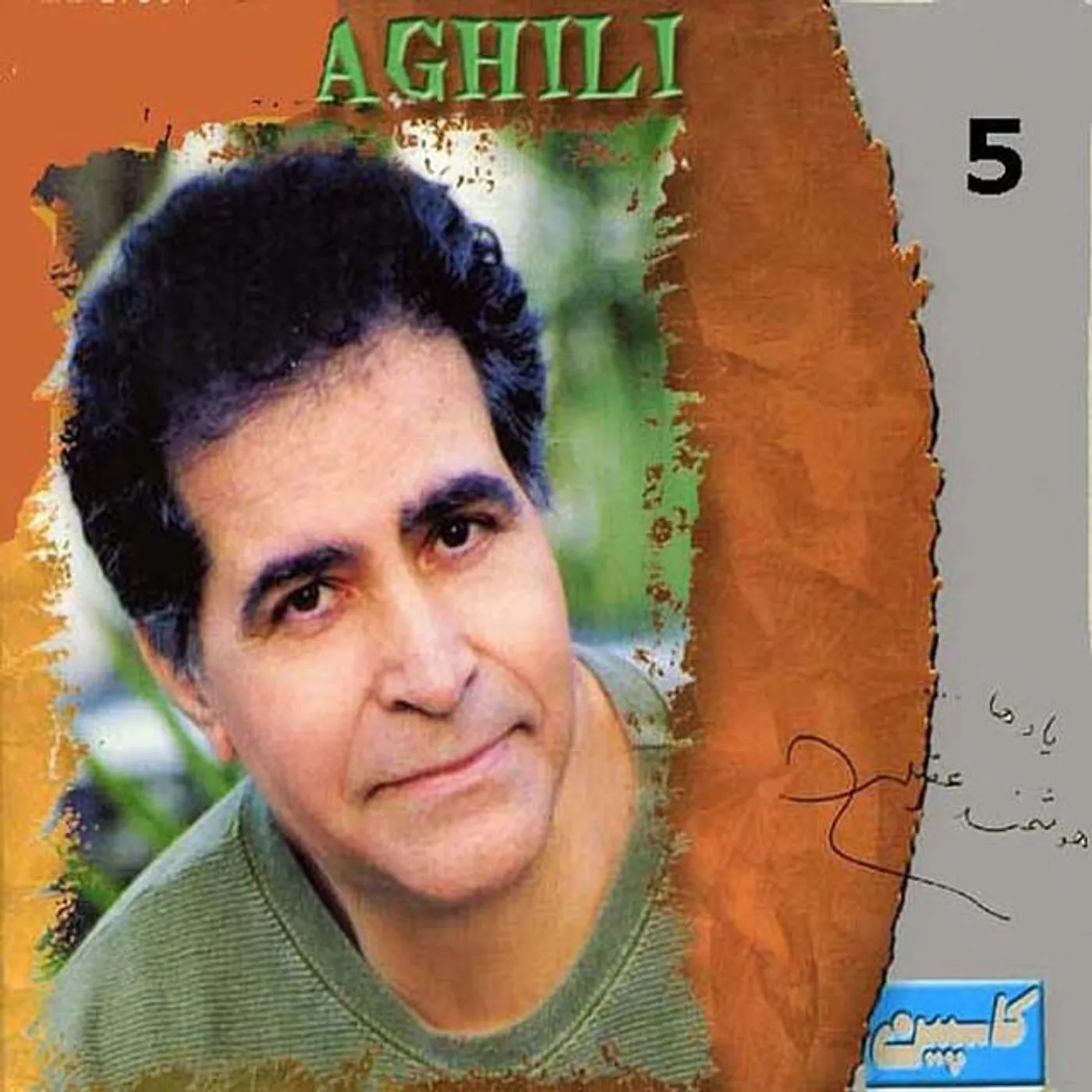 Houshmand Aghili