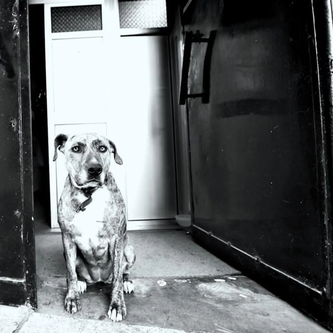 How Comes the Constellations Shine