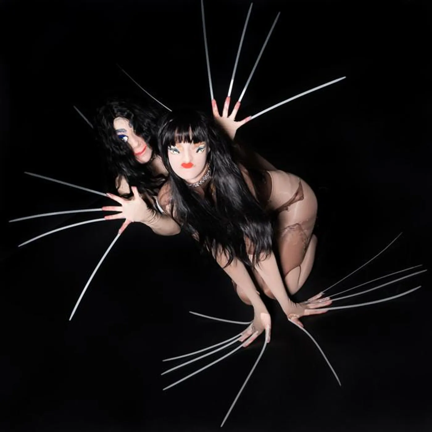 Holdgervlar Brand Page