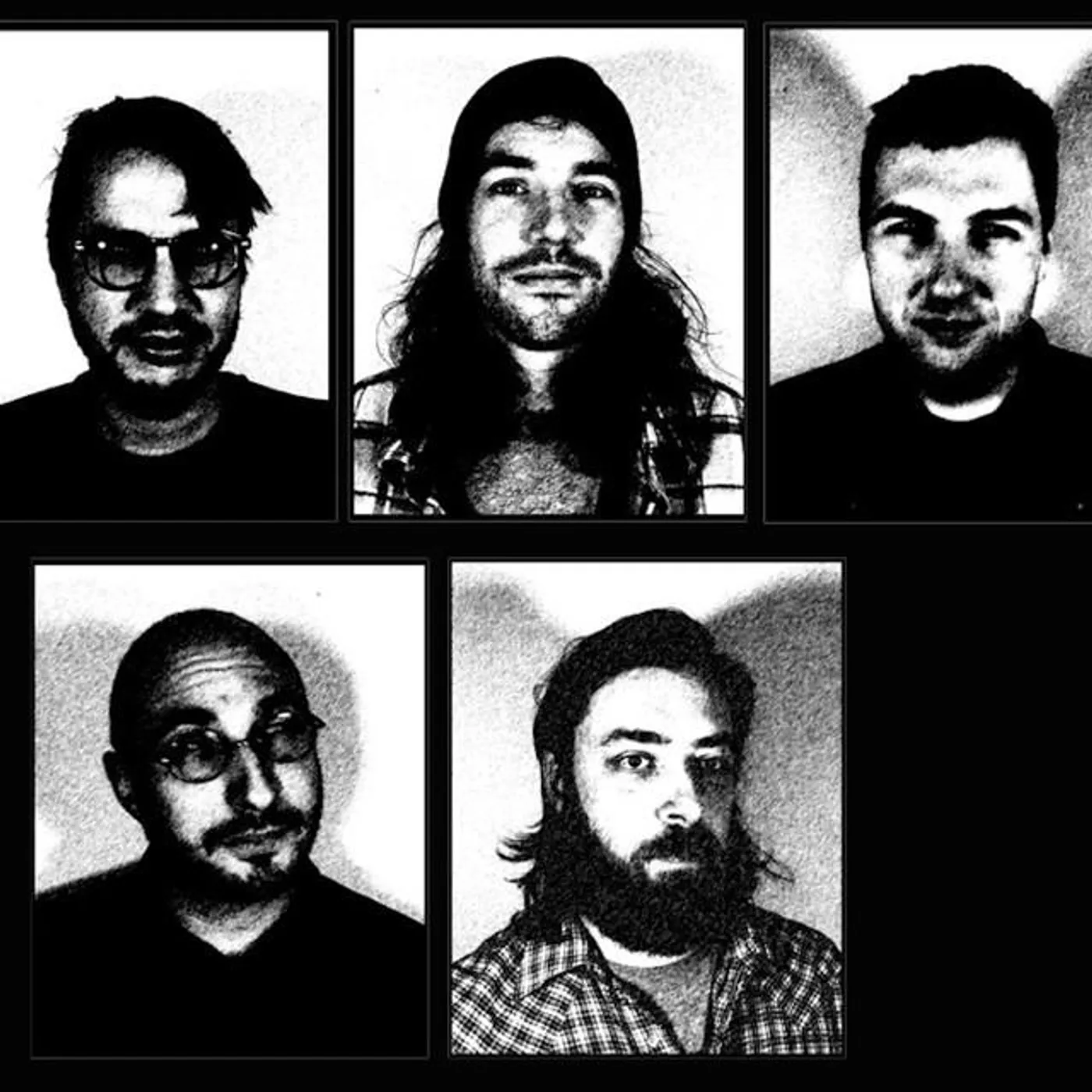 Honey Radar Brand Page