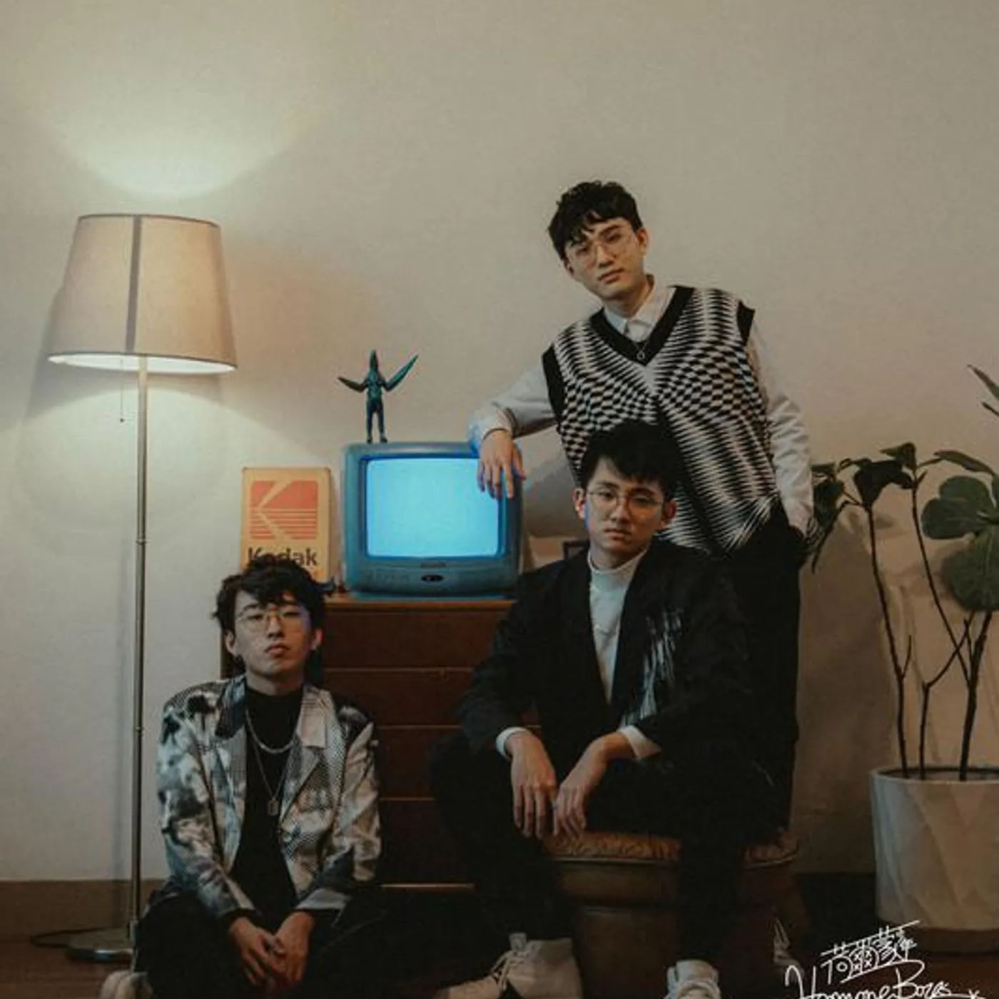 Hormone Boys Brand Page