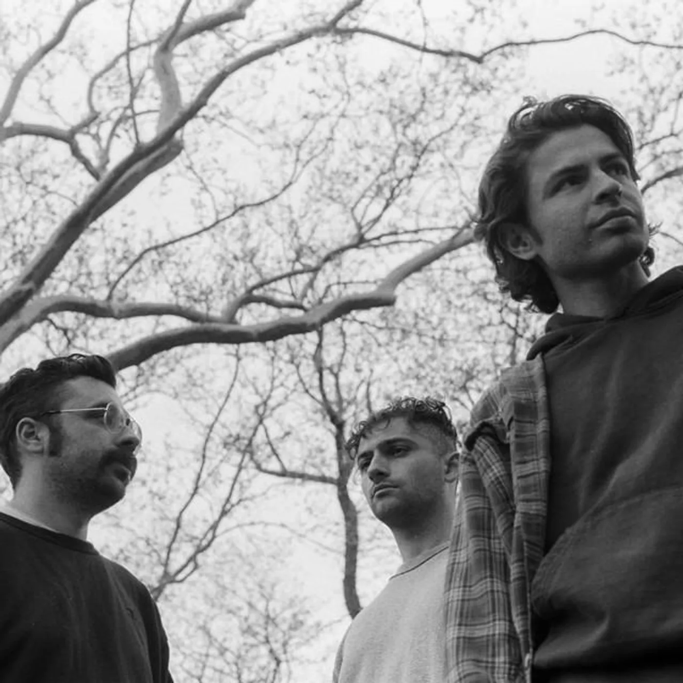 Horse Jumper of Love Brand Page