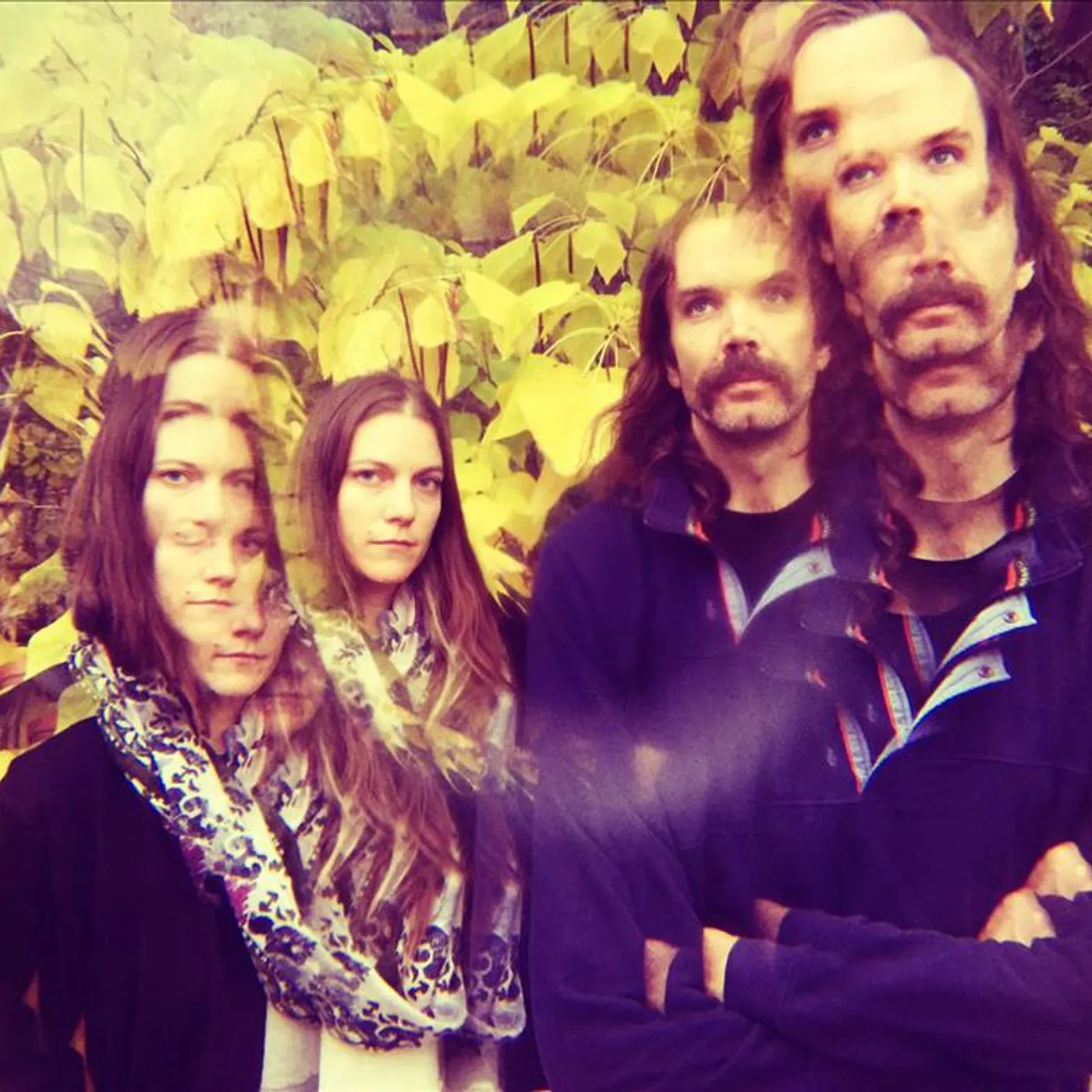 A Hawk And A Hacksaw Brand Page