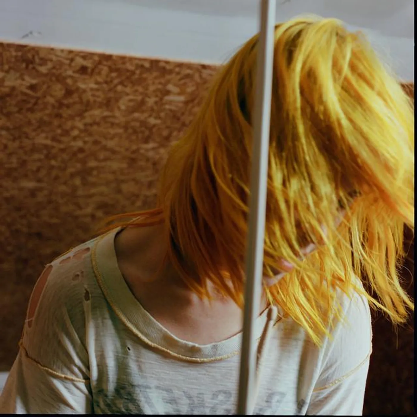 Hayley Williams Brand Page