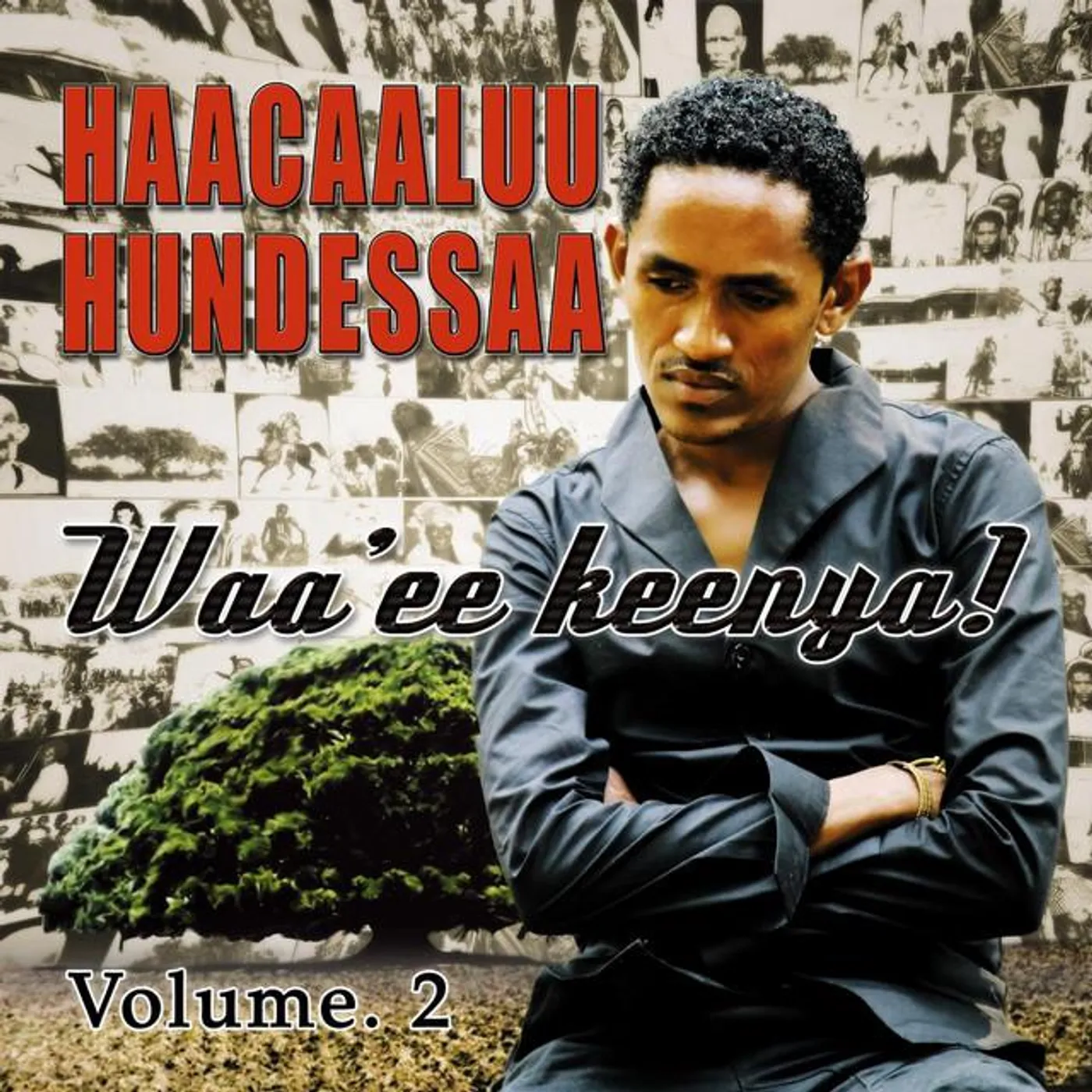 Haacaaluu Hundessaa Brand Page