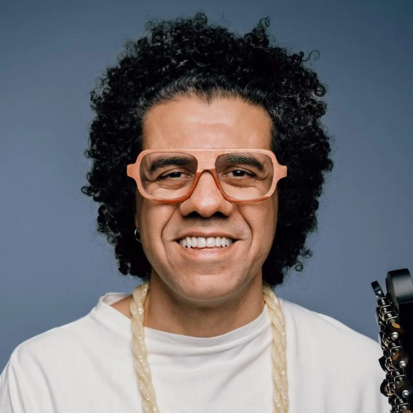 Hamilton De Holanda Brand Page