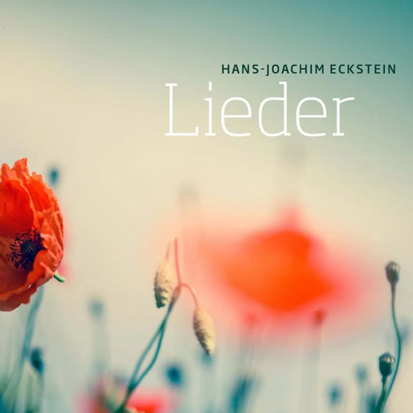 Hans-Joachim Eckstein