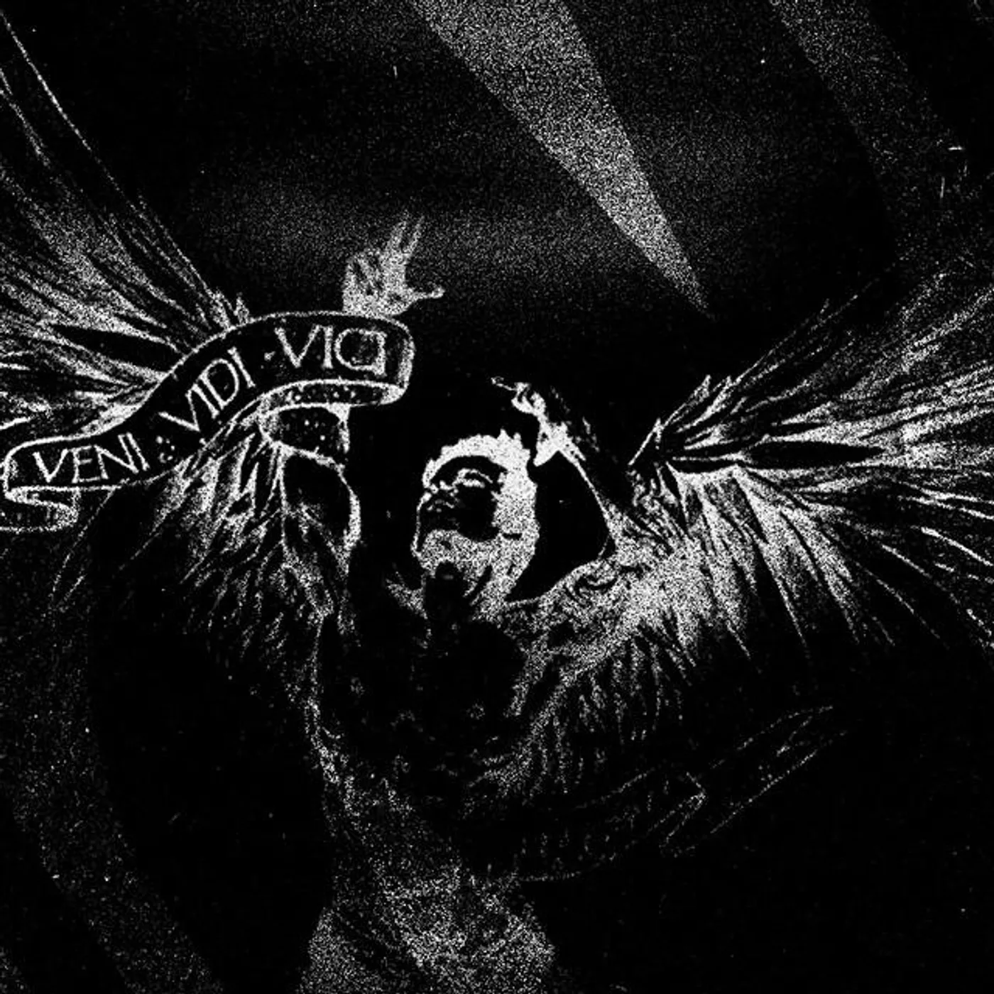 HARDSTYLE TAZZY Brand Page