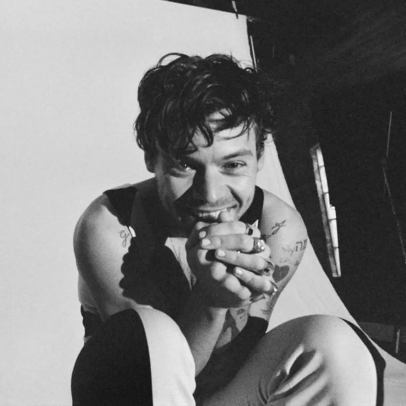 Harry Styles Brand Page