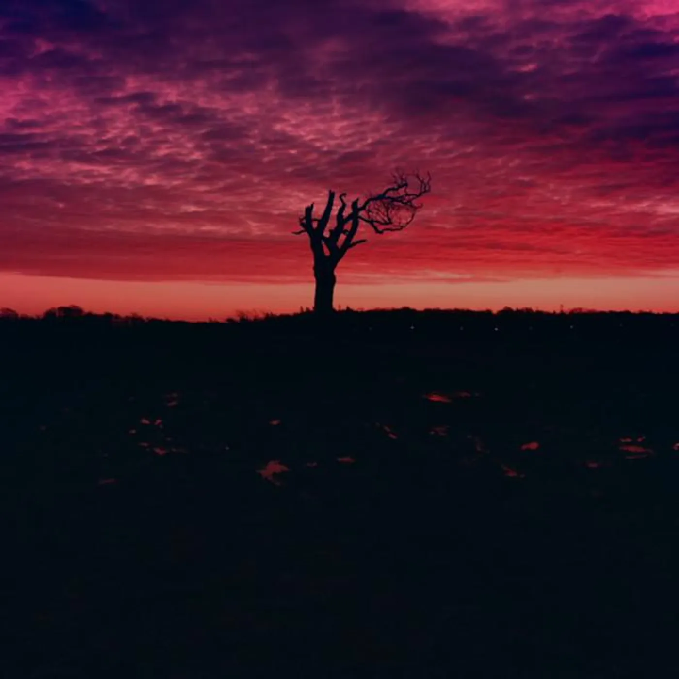 Heaven In Her Arms Brand Page