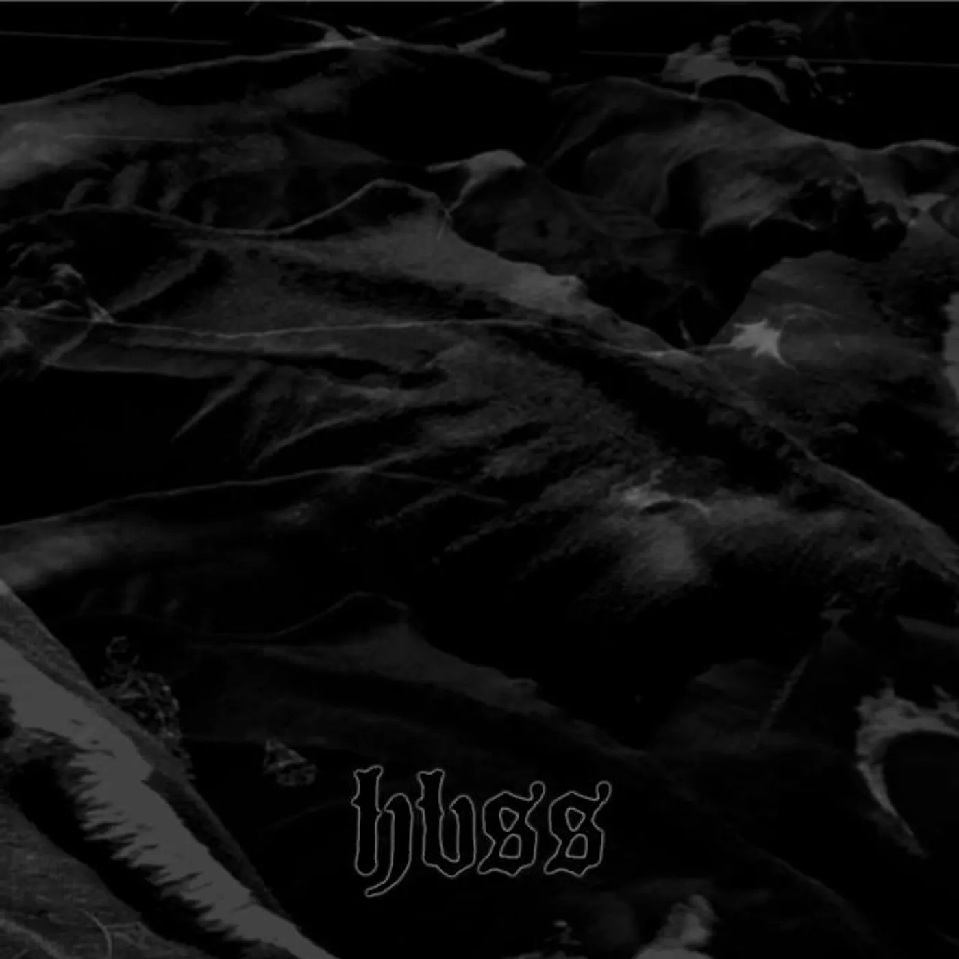 Heavy Baby Sea Slugs