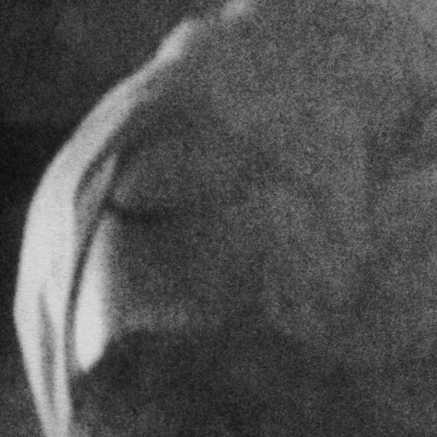 Heavy Winged Brand Page