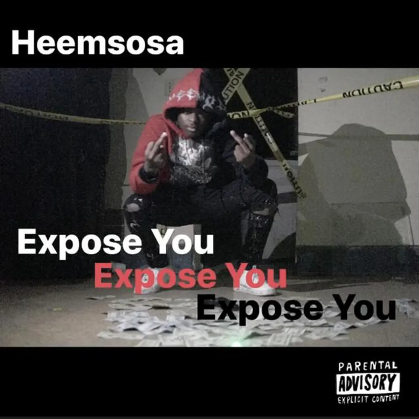 Heemsosa