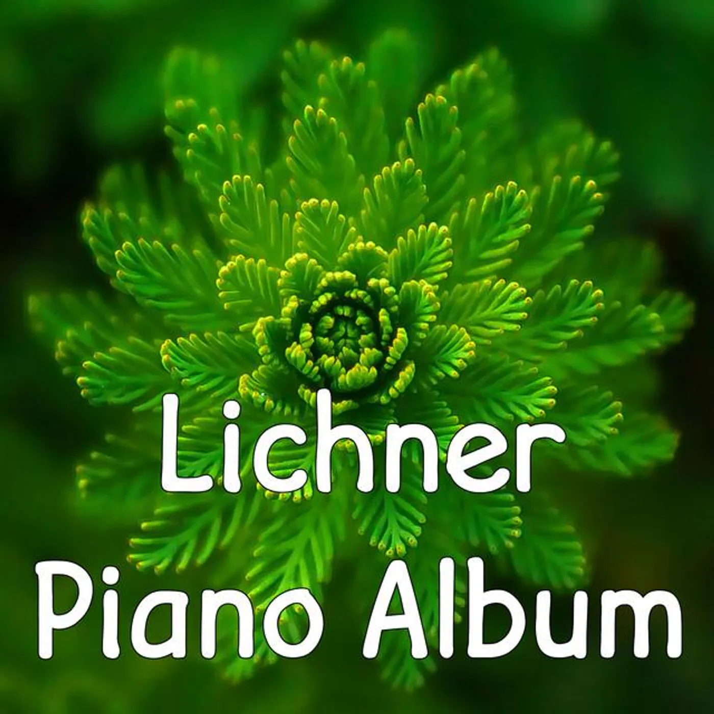 Heinrich Lichner Brand Page