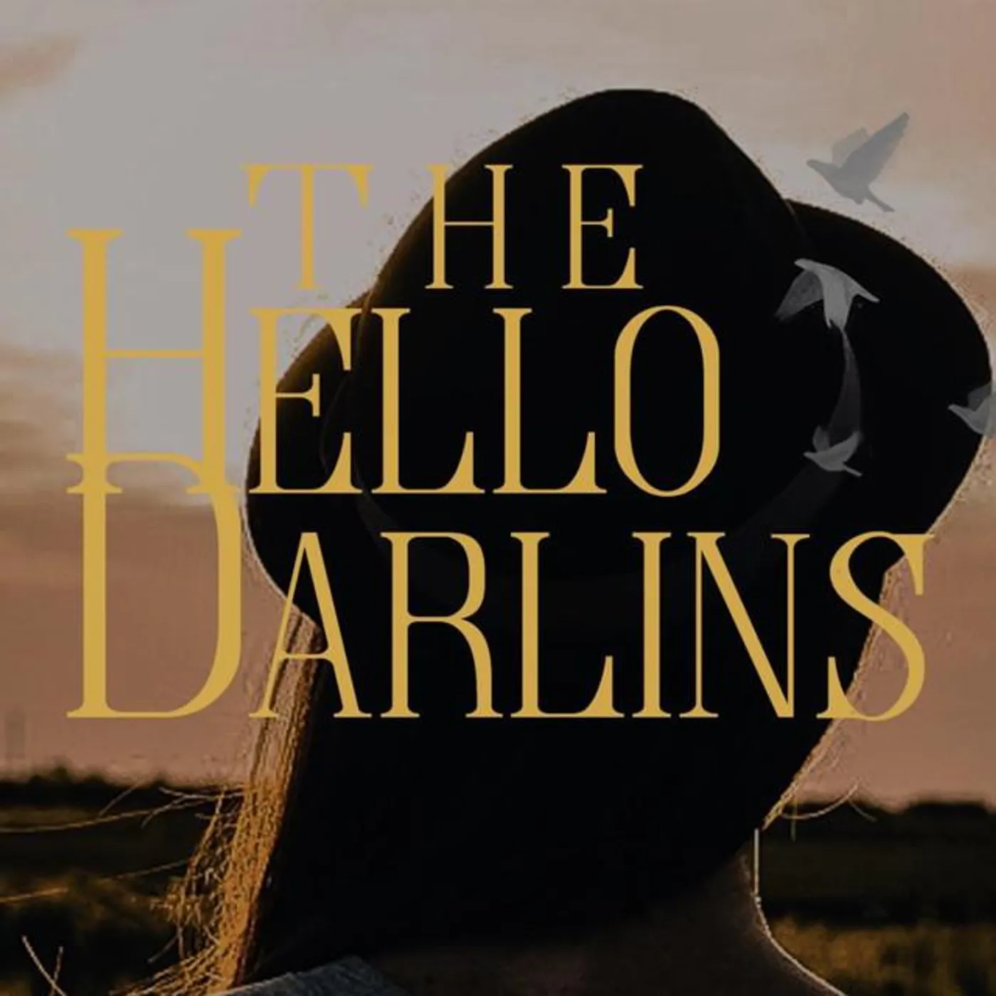 The Hello Darlins Brand Page