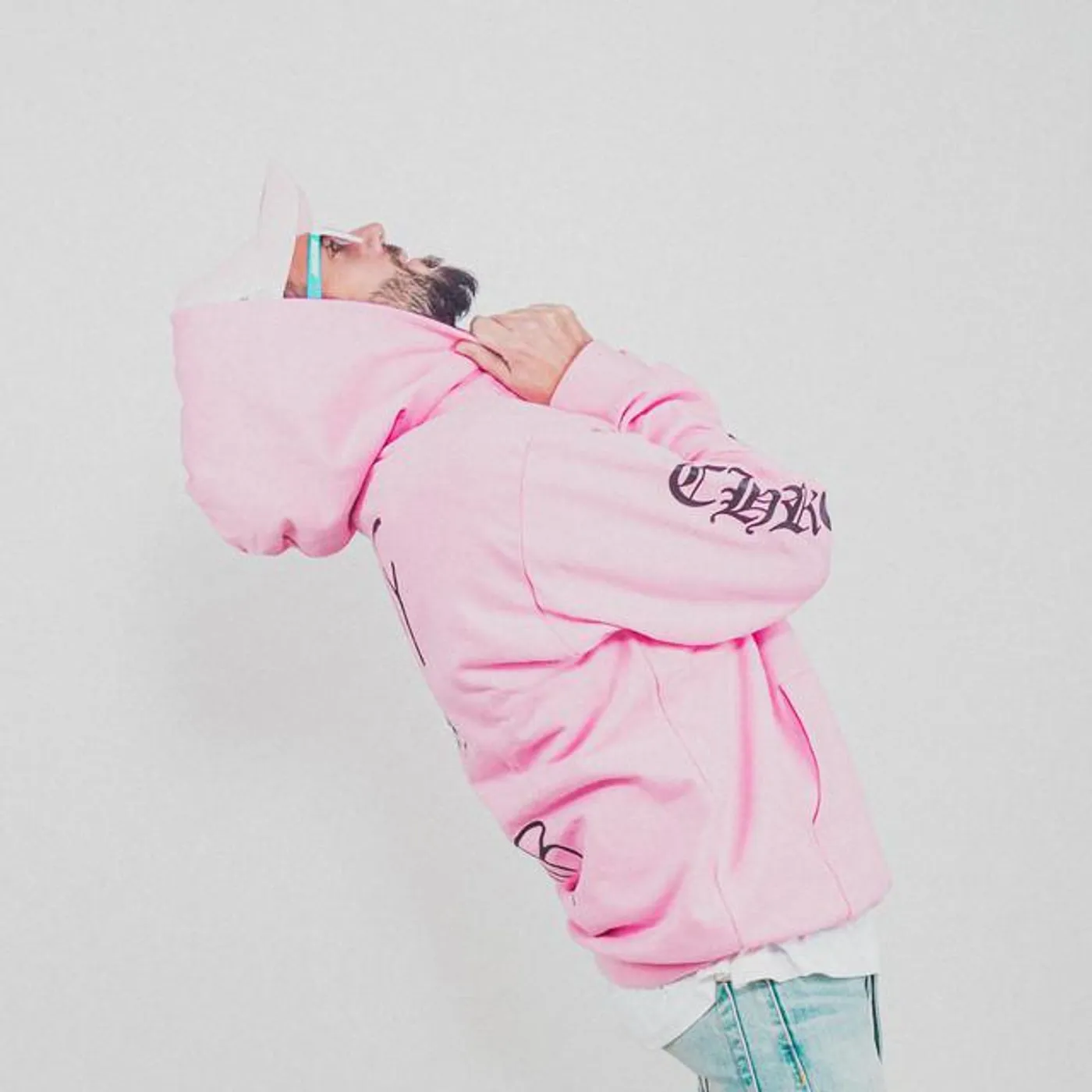 Helmut Fritz Brand Page