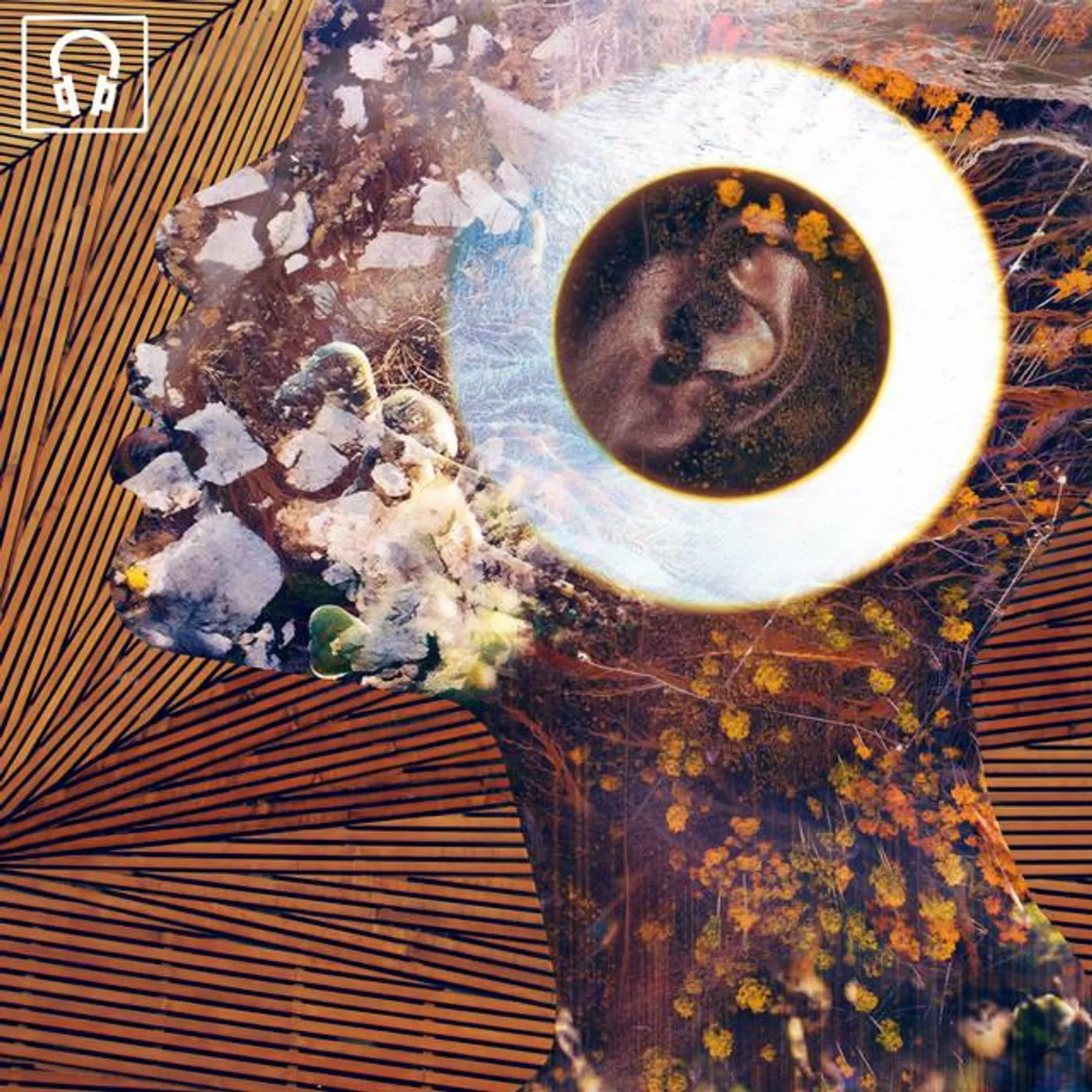 Helsinki Headnod Convention