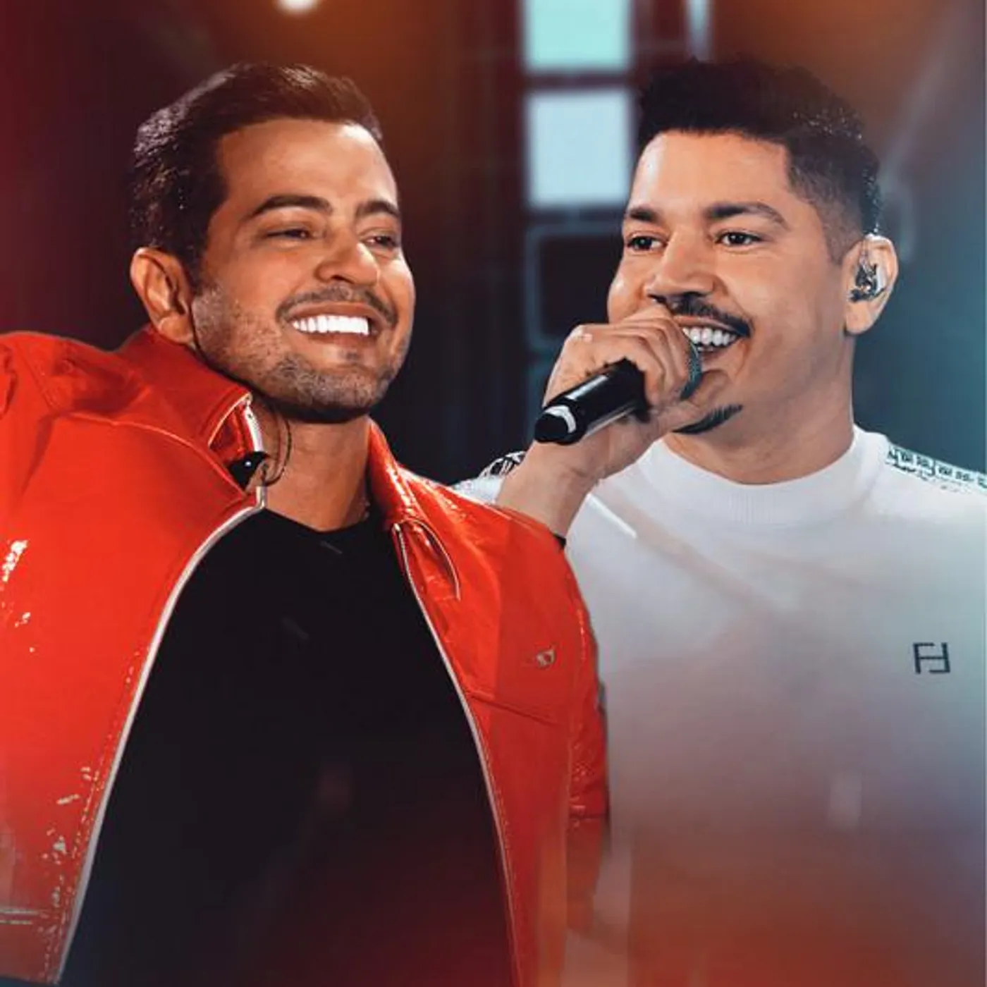 Henrique & Diego Brand Page