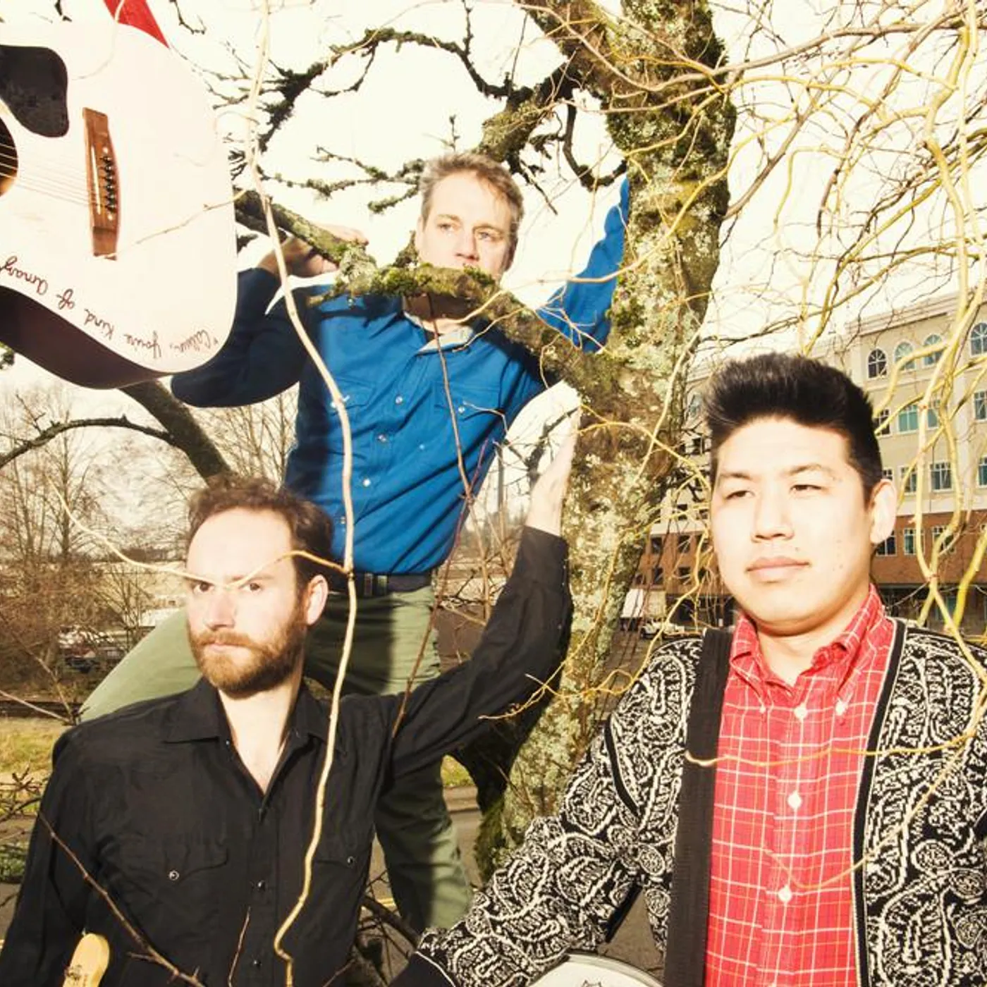 The Hive Dwellers Brand Page