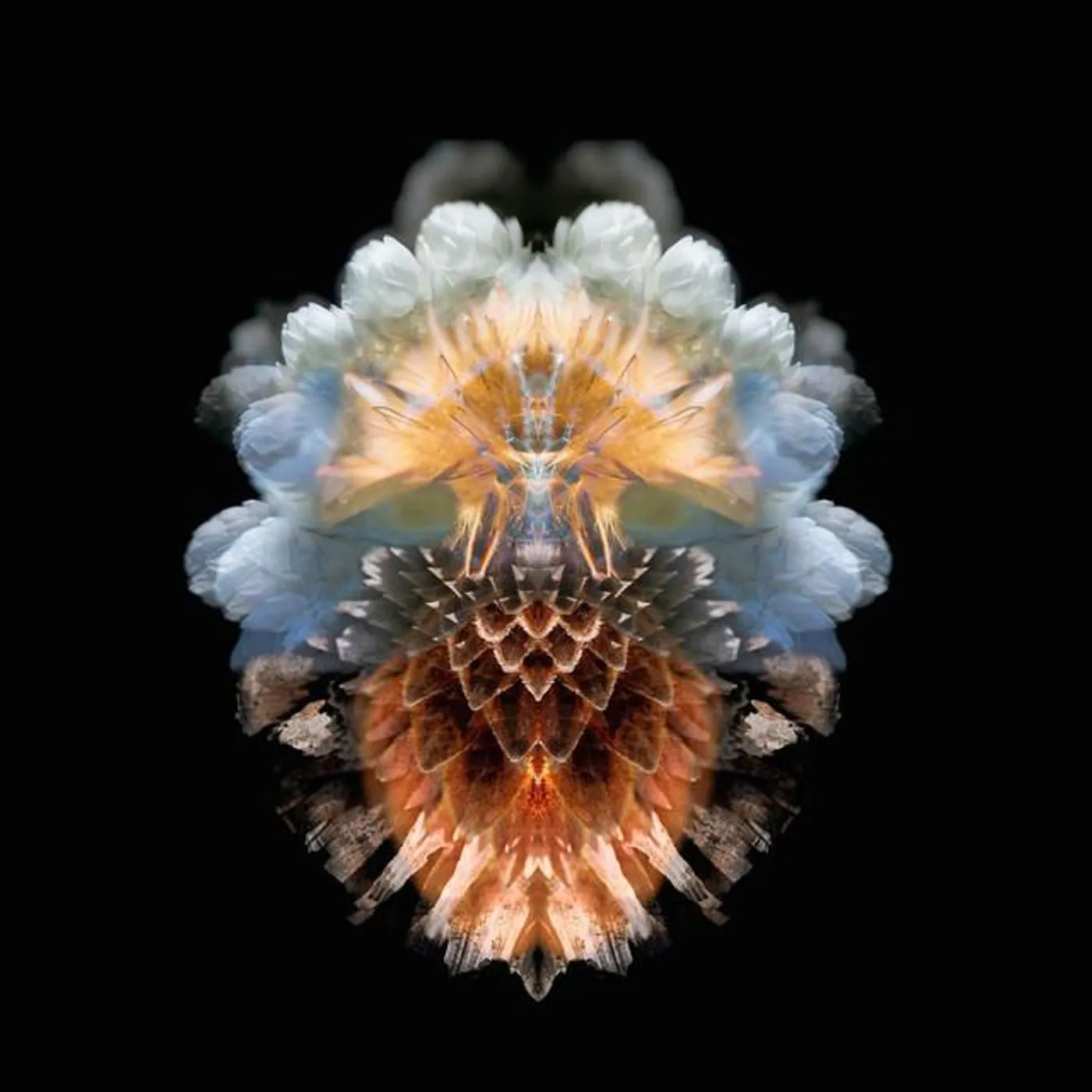 Hibernation Brand Page