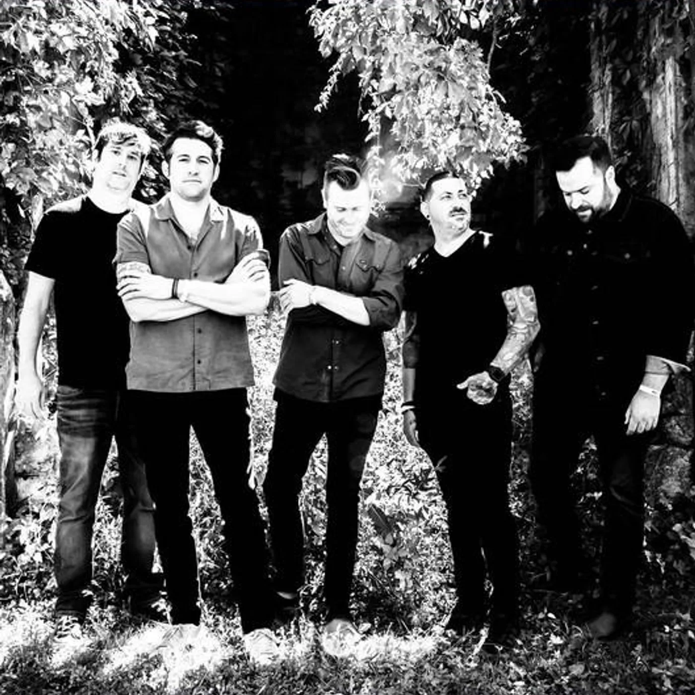 Hidden In Plain View Brand Page