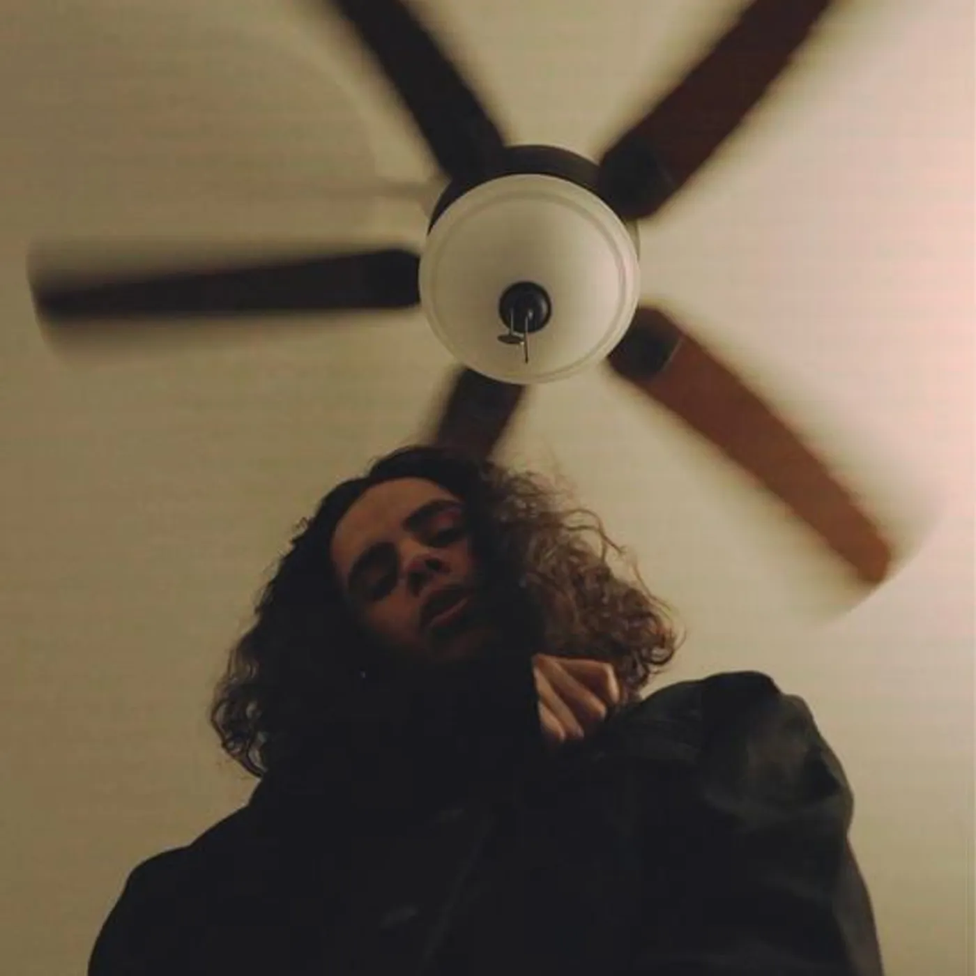 Hideandseekzoo Brand Page