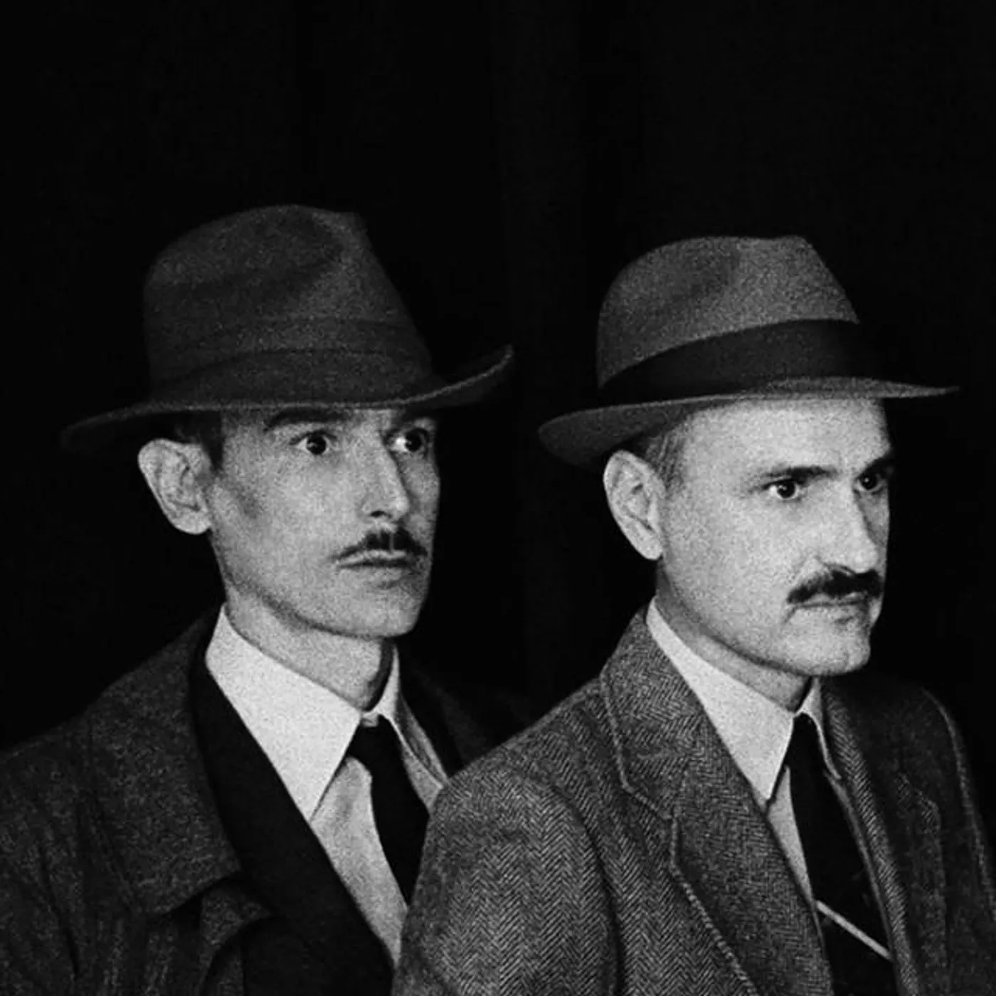 Hidrogenesse Brand Page