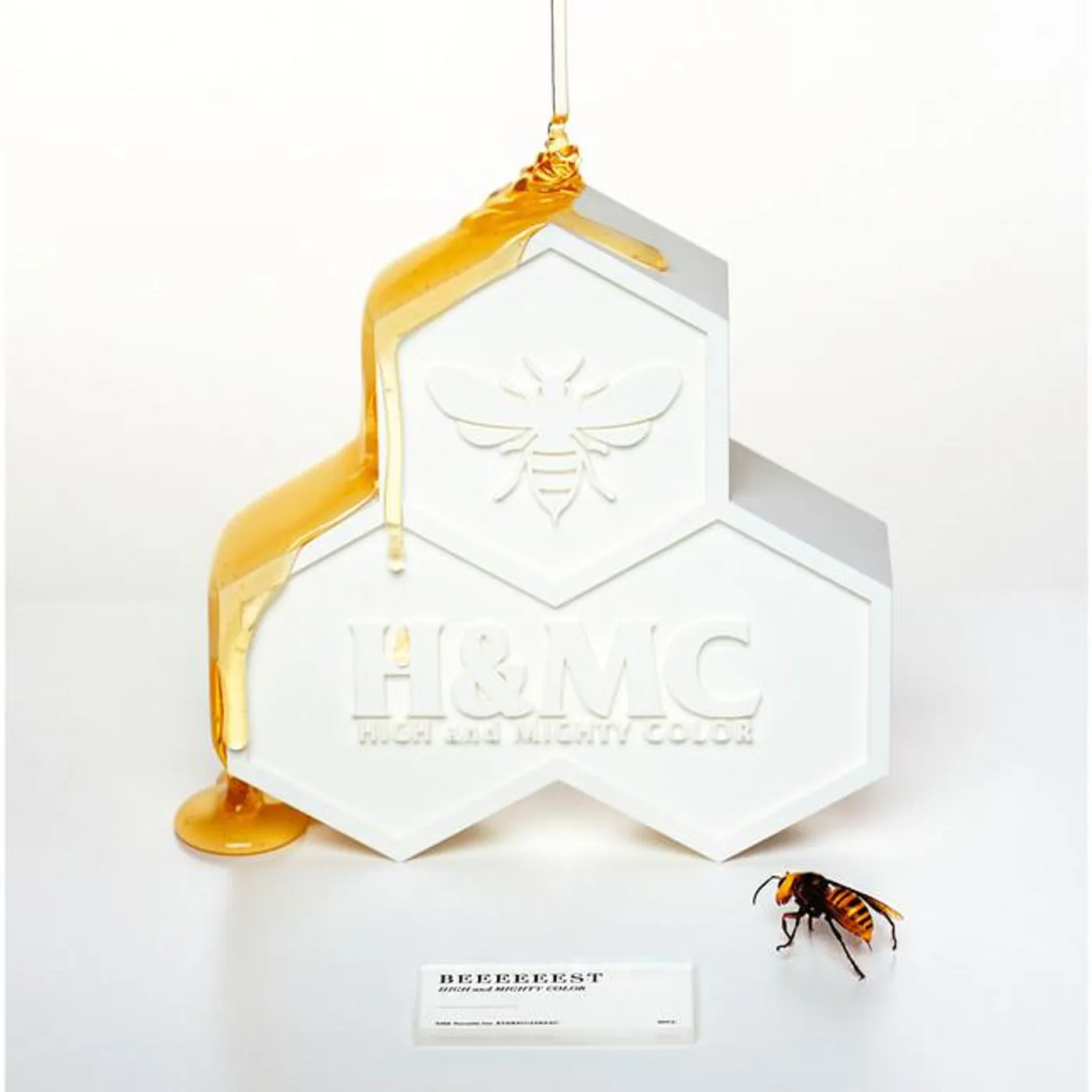 HIGH and MIGHTY COLOR