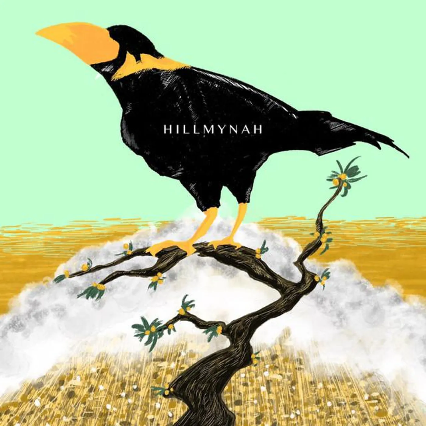 HILLMYNAH